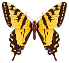 Butterfly PNG Clipart Image