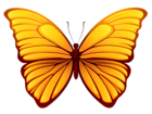 Butterfly PNG Picture