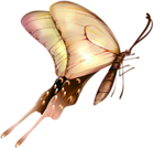 Butterfly PNG Transparent Clip Art Image