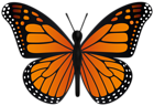 Butterfly PNG Transparent Clipart