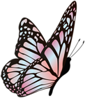 Butterfly Pink Blue Clipart Image