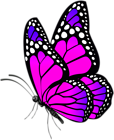Butterfly Pink PNG Clip Art Image