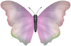Butterfly Pink PNG Clipart Image