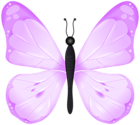 Butterfly Pink PNG Transparent Clipart