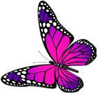 Butterfly Pink and Purple Transparent PNG Clip Art Image