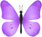 Butterfly Purple PNG Transparent Clipart