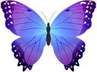 Butterfly Purple Transparent PNG Clip Art
