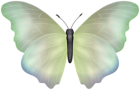 Butterfly Soft Green Clipart Image