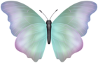Butterfly Soft Multicolored Clipart Image