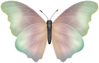 Butterfly Soft PNG Clipart Image
