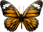 Butterfly Transparent Clip Art Image