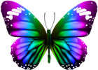 Butterfly Transparent Clip Art PNG Image