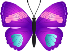 Butterfly Transparent PNG Clip Art