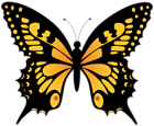 Butterfly Transparent PNG Clip Art Image