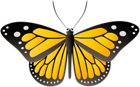 Butterfly Yellow PNG Clip Art Image