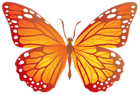 Butterfly with Yellow PNG Image