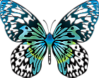Cartoon Blue Transparent Butterfly Clipart