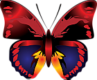 Cartoon Red Butterfly Clipart