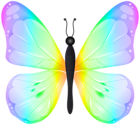 Colorful Butterfly PNG Transparent Clipart