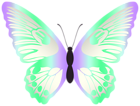Colorful Butterfly Violet PNG Transparent Clipart
