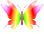 Decorative Butterfly Colorful PNG Clipart
