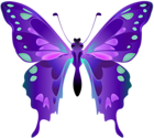 Decorative Butterfly Purple