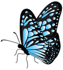 Flying Butterfly Blue Transparent PNG Clipart