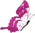 Flying Butterfly Pink PNG Transparent Clipart