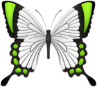 Green Butterfly Deco Clipart Image