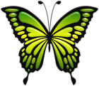 Green Butterfly PNG Clip Art Image