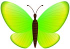 Green Butterfly PNG Clipart