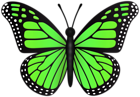 Green Butterfly Transparent PNG Clipart