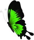 Green Flying Butterfly PNG Clip Art