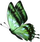 Green Flying Butterfly PNG Clipart