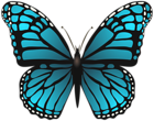 Large Blue Butterfly PNG Clip Art Image
