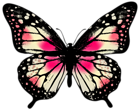 Large Pink Butterfly PNG Clip Art Image