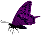 Large Purple Butterfly PNG Clip Art Image