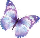Large Transparent Butterfly PNG Clipart