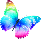 Large Transparent Multi Color Butterfly PNG Clipart