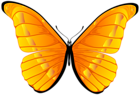 Orange Butterfly PNG Clip Art Image