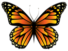 Orange Butterfly PNG Clipar