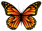 Orange Butterfly PNG Clipar Image