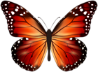 Orange Butterfly PNG Clipart