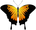 Orange Butterfly Transparent Image