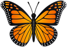 Orange Butterfly Transparent PNG Clipart