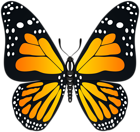 Orange Butterfly Transparent PNG Image