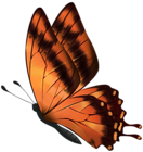Orange Flying Butterfly PNG Clipart