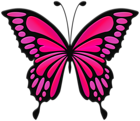 Pink Butterfly PNG Clip Art Image