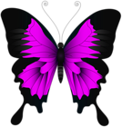 Pink Butterfly PNG Clip Art Image
