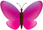 Pink Butterfly PNG Clipart